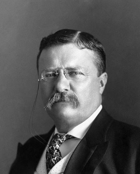 Photo of ROOSEVELT, Theodore